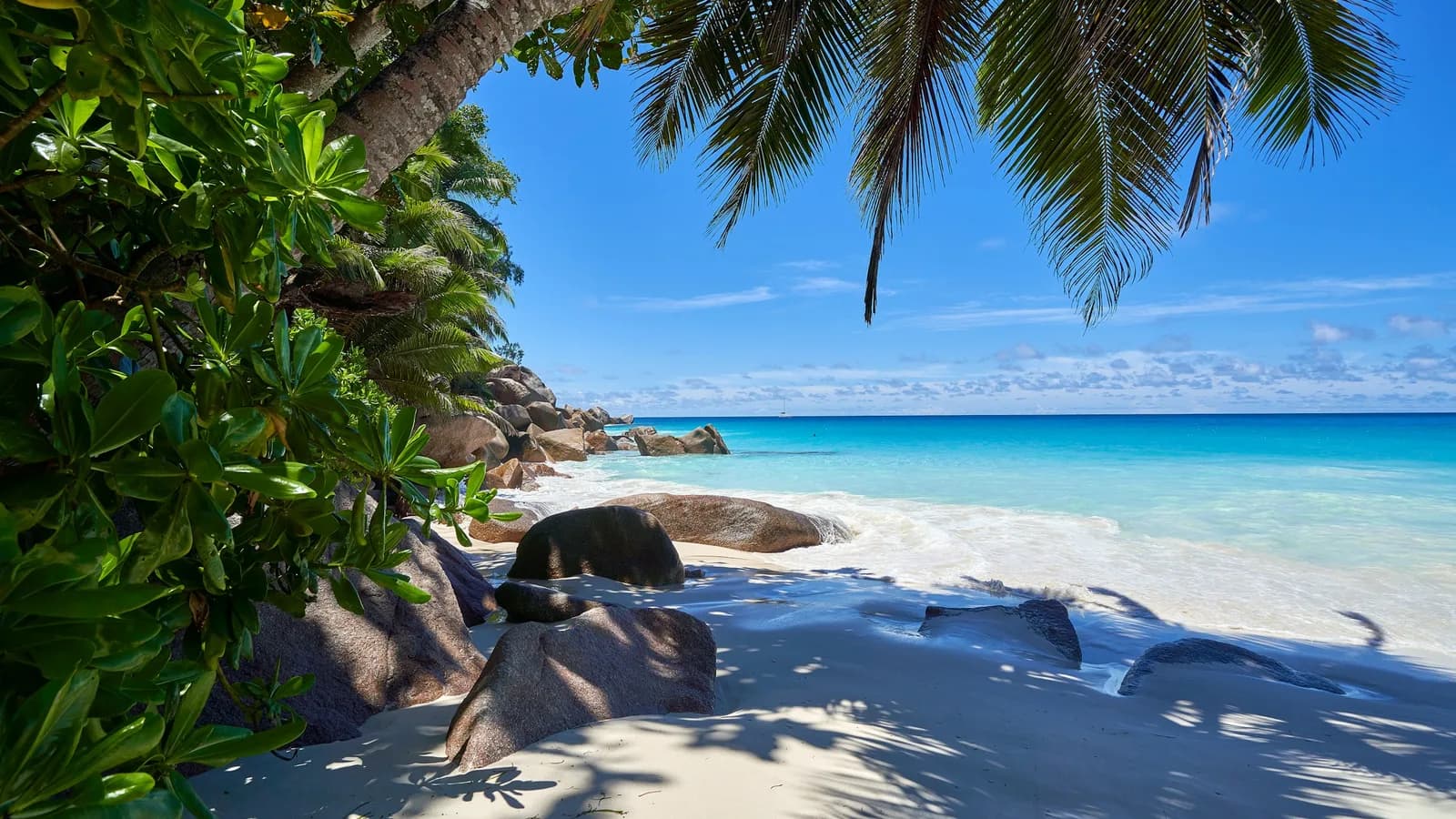 Granitfelsen und Palmen an einem weißen Strand mit türkisem Wasser